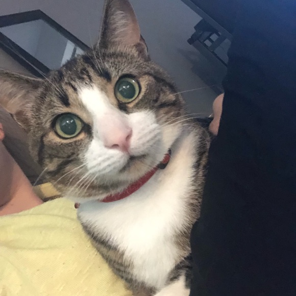 Meet your Posher, Meghan - Picture 1 of 1